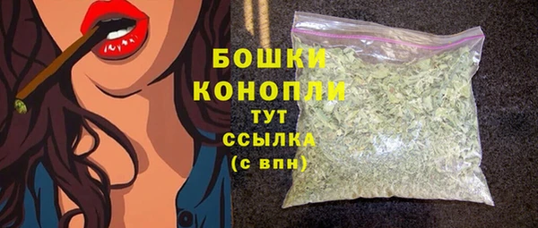дурь Надым