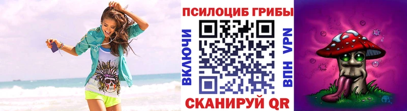 Псилоцибиновые грибы MAGIC MUSHROOMS  где купить   Красноперекопск 