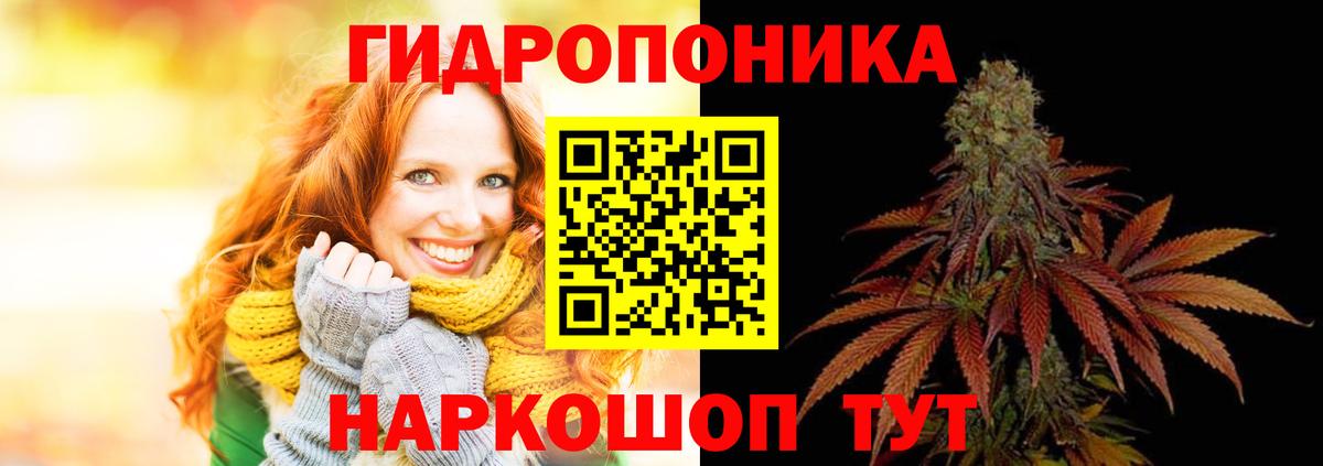 Бошки марихуана планчик  МАРИХУАНА Bruce Banner  Красноперекопск 